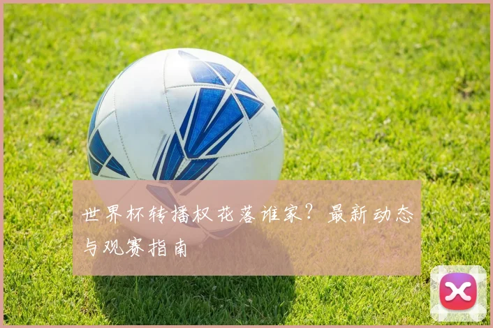 世界杯转播权花落谁家？最新动态与观赛指南