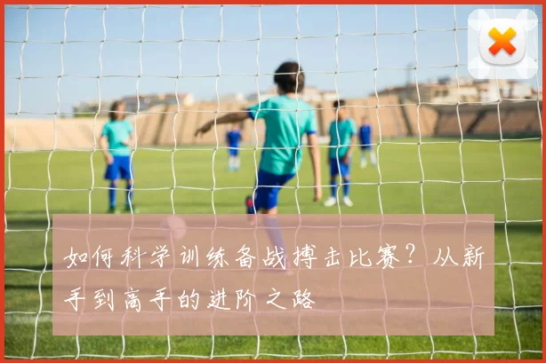 如何科学训练备战搏击比赛？从新手到高手的进阶之路