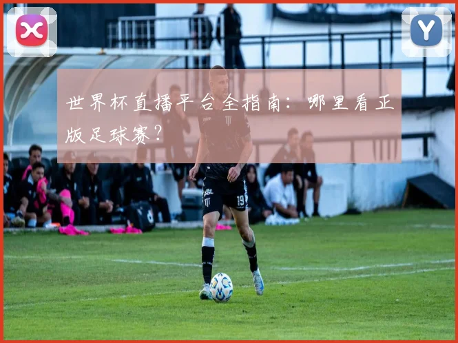 世界杯直播平台全指南：哪里看正版足球赛？