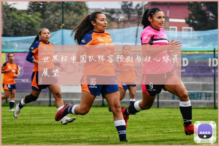 世界杯中国队阵容预测与核心球员展望